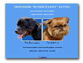Russisch GeistvBrussels Griffons
