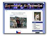 American Akita Kennel Samara Bohemia