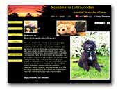 Scandinavia Labradoodles