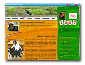 Maxwell House - Gordon setter