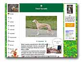 Sheol kennels Whippets & Beagle's