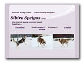 Sibiro Speigas Siberian Husky