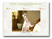 Italian Greyhounds Kennel Silvento