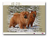 Chow Chow & Smooth Chows Kennel La Bur
