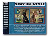 Stay In Style Kennel