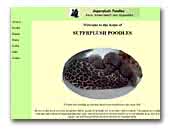 Poodles Superplush Breder