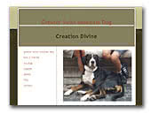 Creation Divine Greater Swiss Mountain Dogs