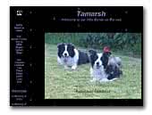 Tamarsh Breeder