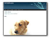 Tantezampe Golden Retrievers
