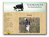 Karelian Bear Dogs Thorvalta