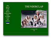 Thunderclap