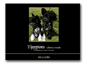 Tippytoes Chinese Cresteds