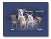Titmouse's Kennel