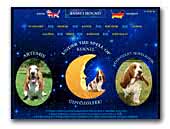 Under the Spell of Basset hound kennel