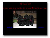 Miniature poodles kennel Užburtoji fleita
