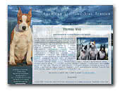 American Staffordshire Terriers Victory Way kennel