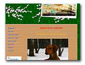 Personal site Dachshund standart kurzhaar