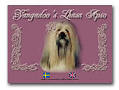 Yangadoo's Lhasa Apso